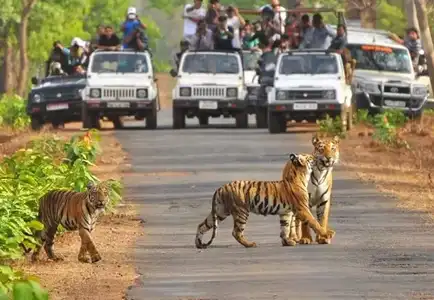 Golden Triangle Tour